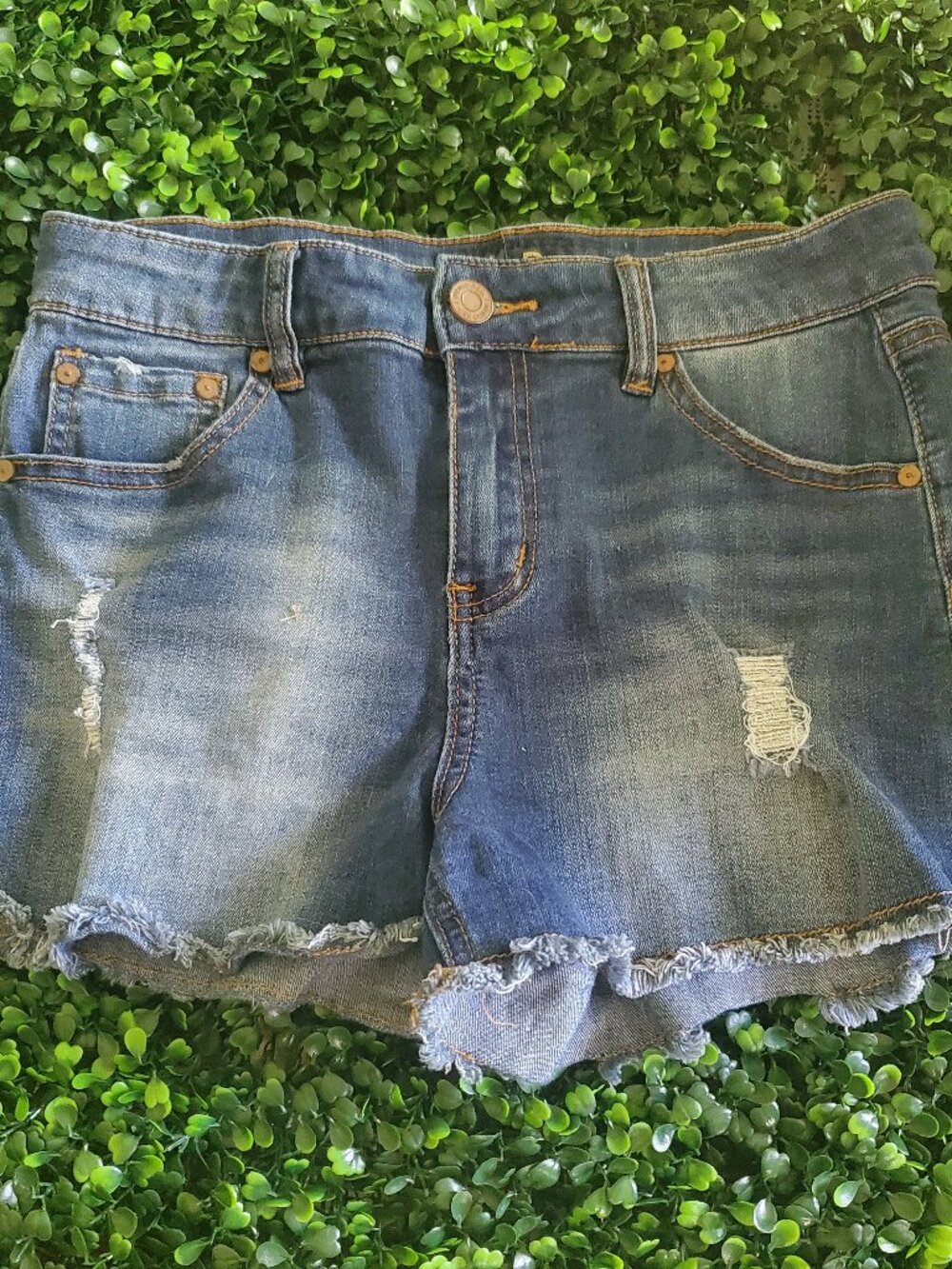 Indigo Rein Distressed Medium Wash Jean Shorts 9/28